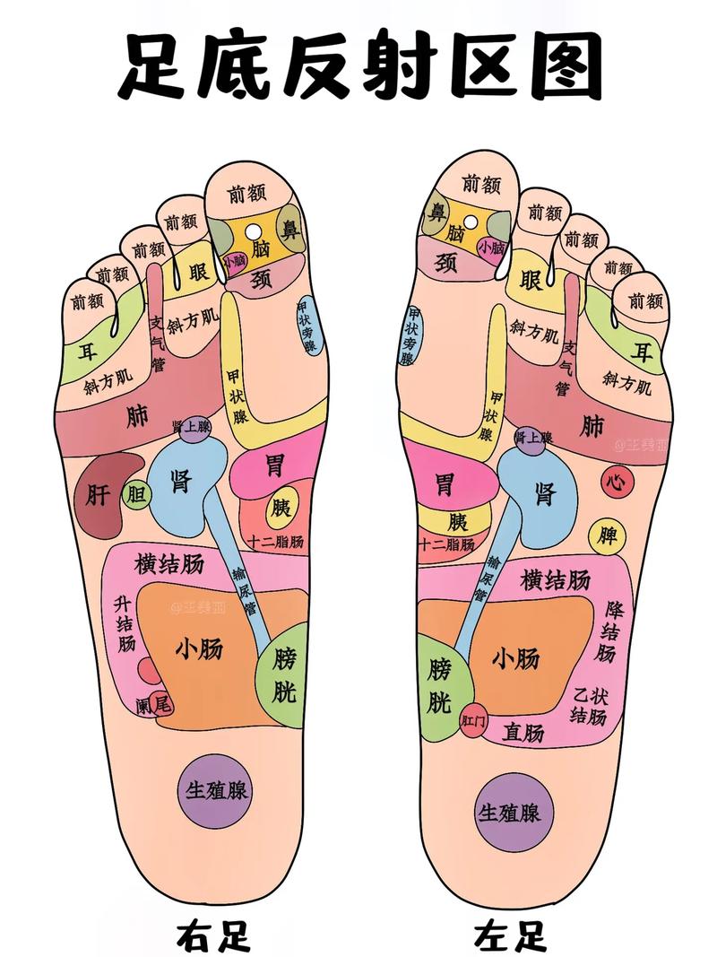 脚底纹路算命 脚底纹路上有个八卦图
