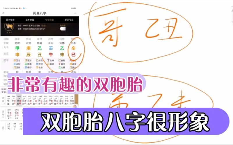 双胞胎命运一样吗八字(双胞胎命运一样吗八字怎么看)