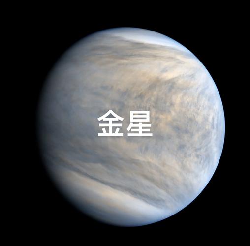 金星灼伤占星 占星金星离下降点很近