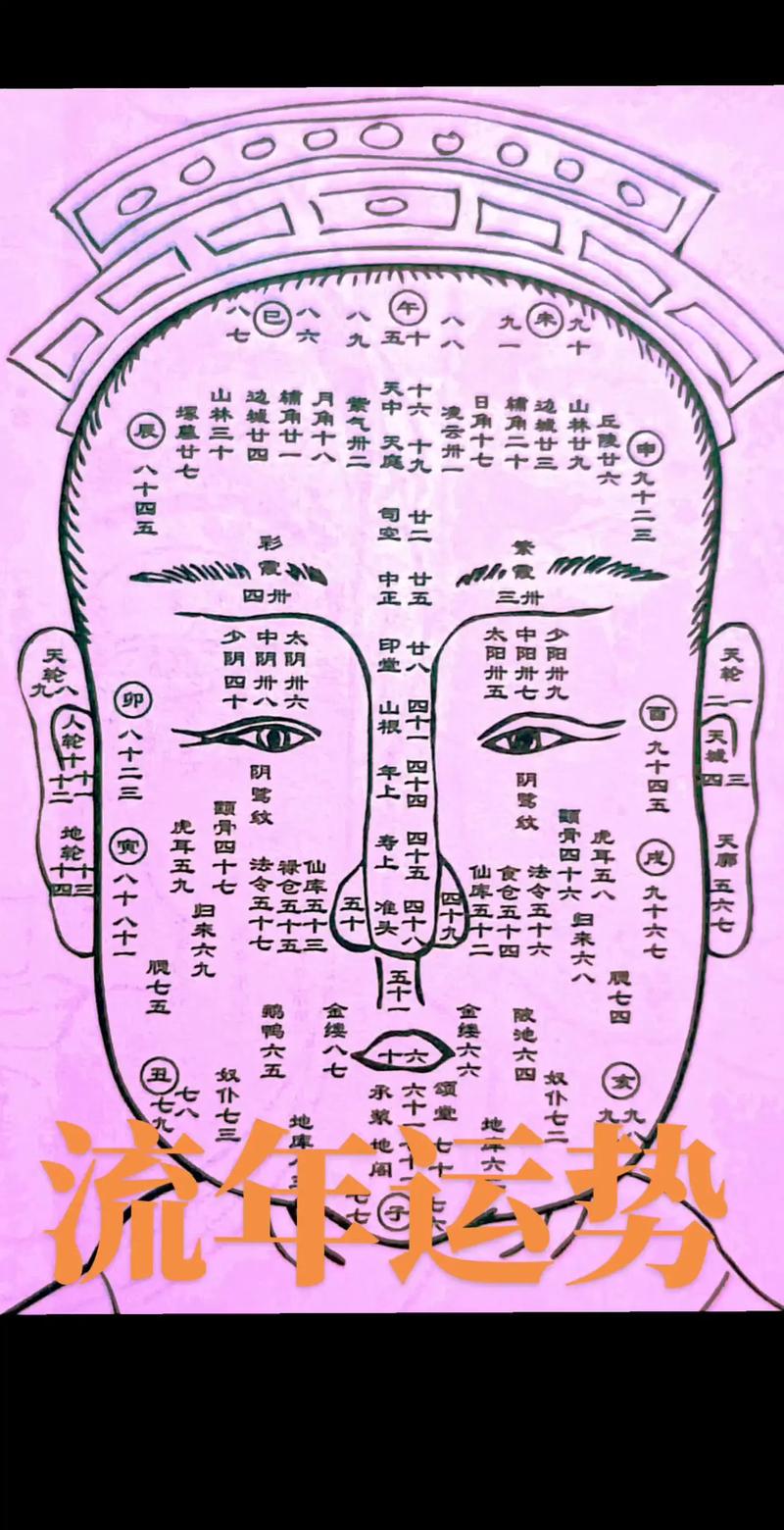 八字算命面相图解女(八字算命面相图解女命)